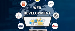 Web Development